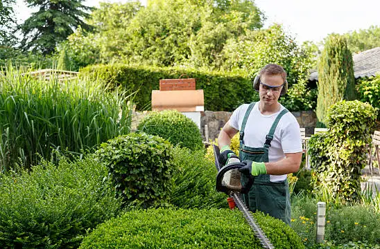 Devis gratuit pour la taille de haie abordable à Cadaujac