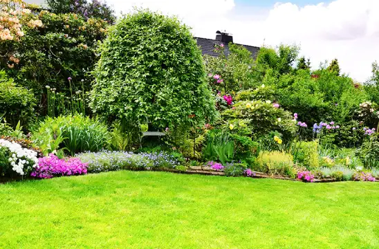 Un jardin resplendissant grâce au dessouchage 33