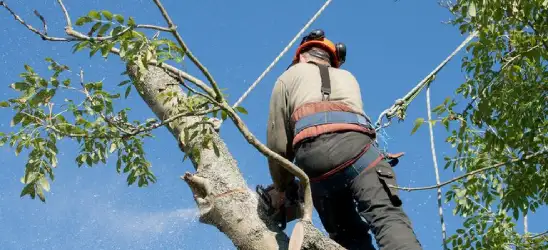 a sécurité au cœur de ses interventions 33